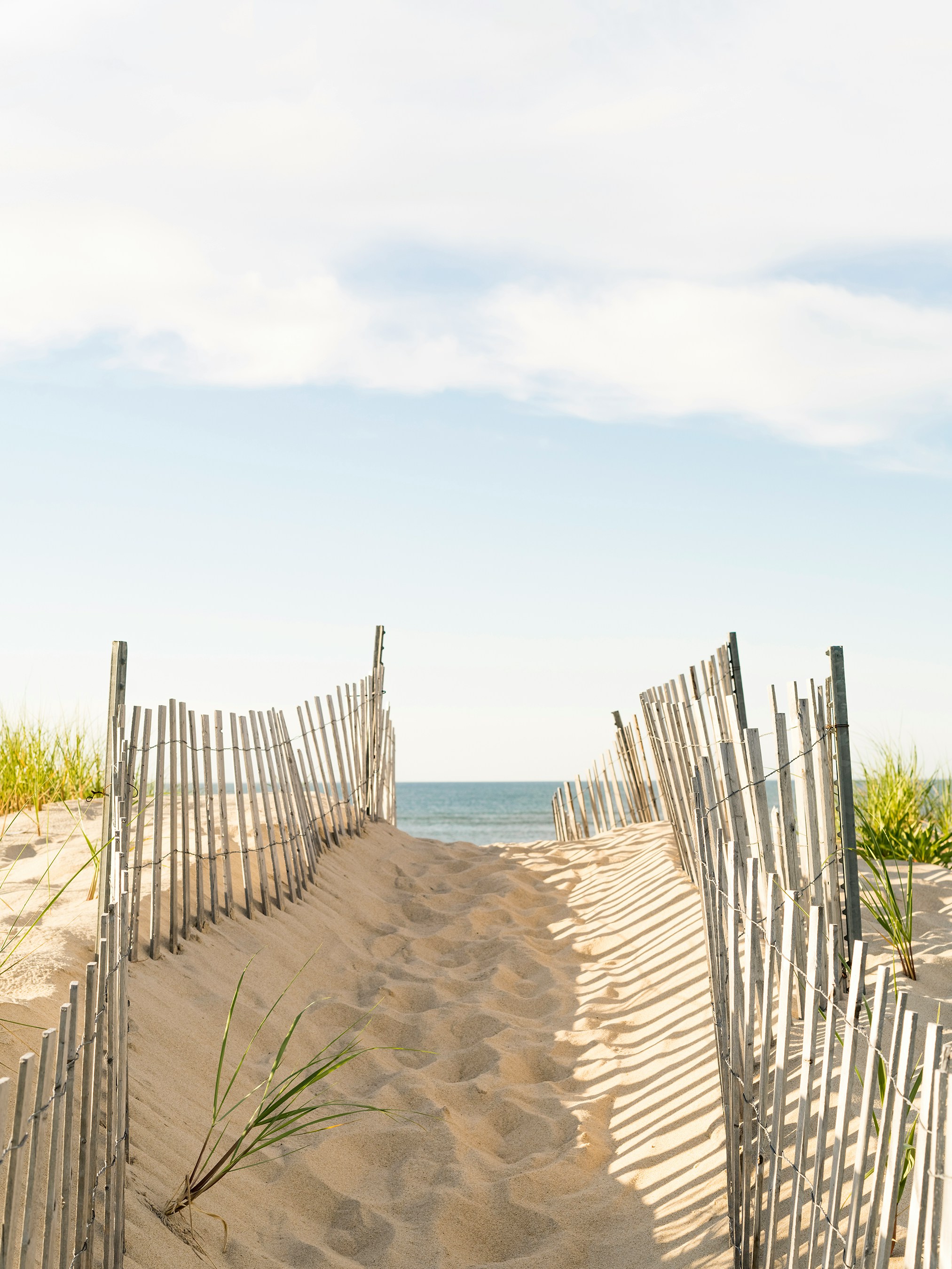 Sand path leading to beach. Photo by Tommy Kwak