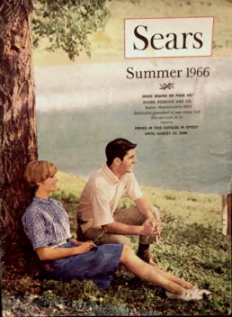 Sears: A Case Study in Business Failure