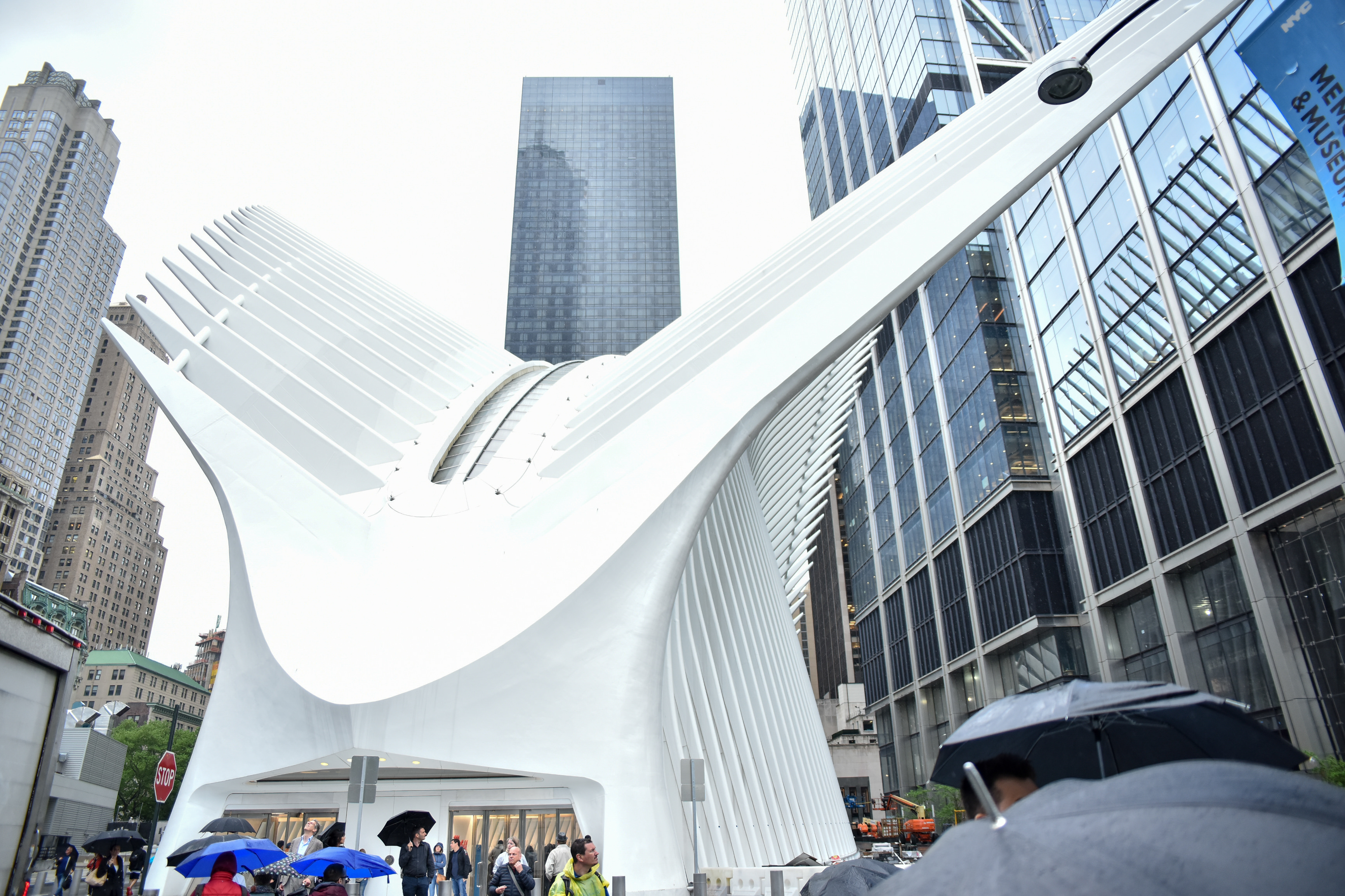 oculus