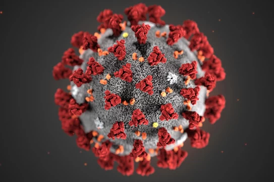 Covid-19 cell