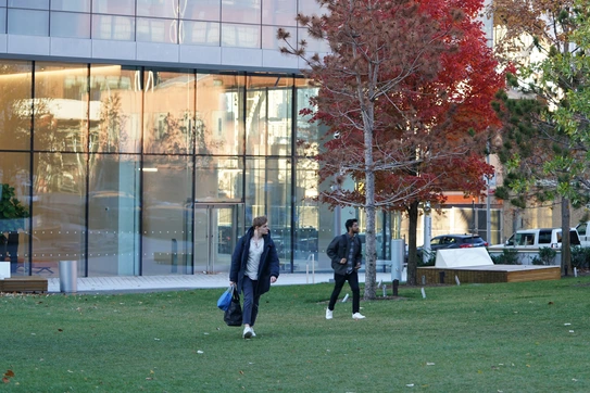 Manhattanville campus in the fall