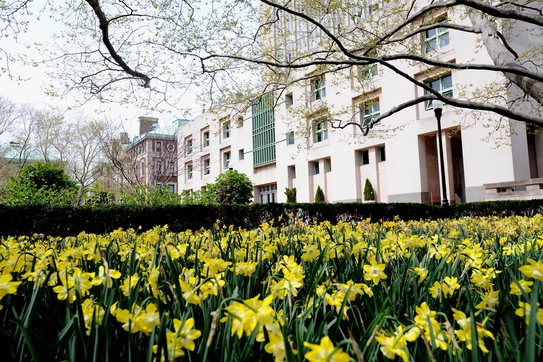 Uris Hall 