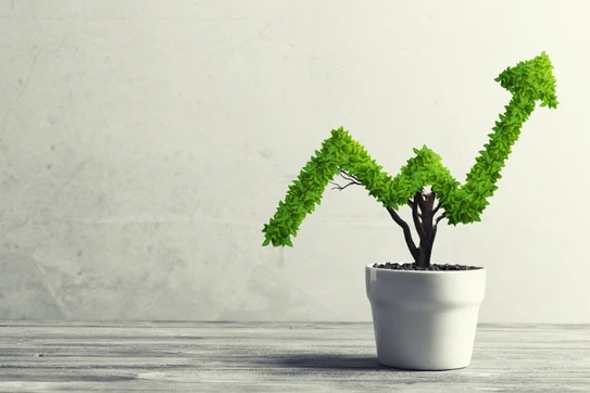 Is Stakeholder Capitalism Really Back?