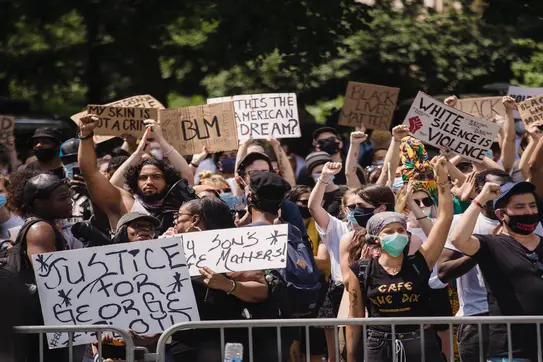 Protestors