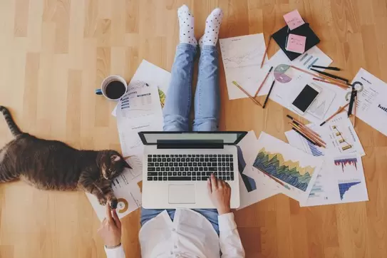 Job Autonomy Can Be a Double-Edged Sword