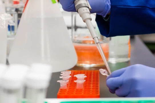 Gloved hands in a lab transfer liquid into a test tube