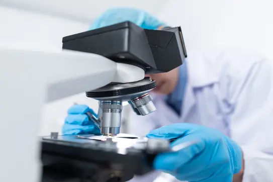 person looking at a microscope