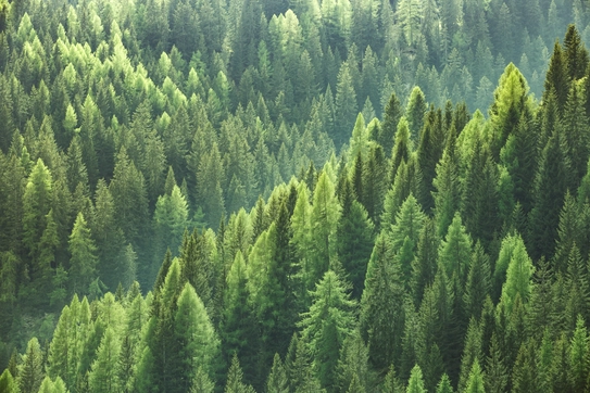 Three CBS Founders Share How They're Cultivating Sustainability-Focused Startups