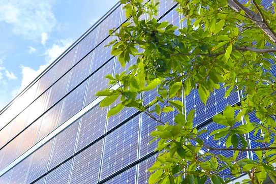 Do Corporate ESG Pledges Really Benefit Stakeholders?