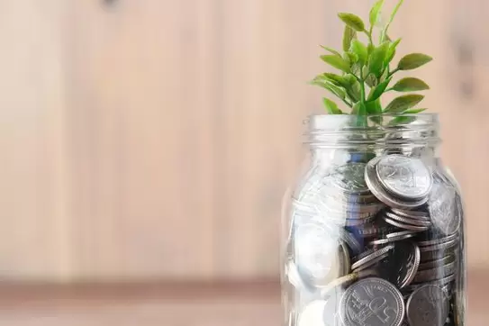 A small green plant planted in a glass jar full of silver coins