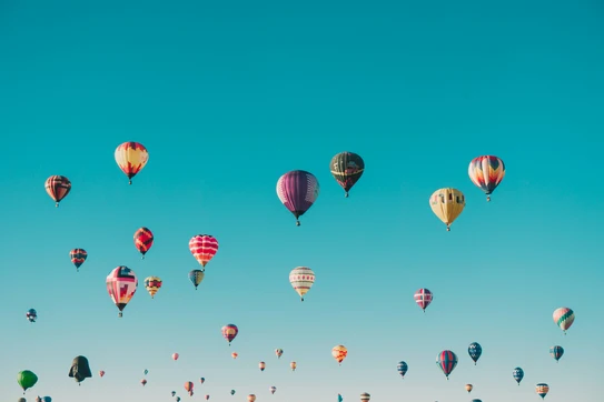 hot air balloons as a symbol representing the Global Family Enterprise Program