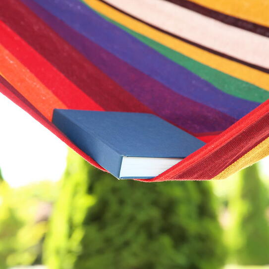 Scholars’ Summer Reading Picks