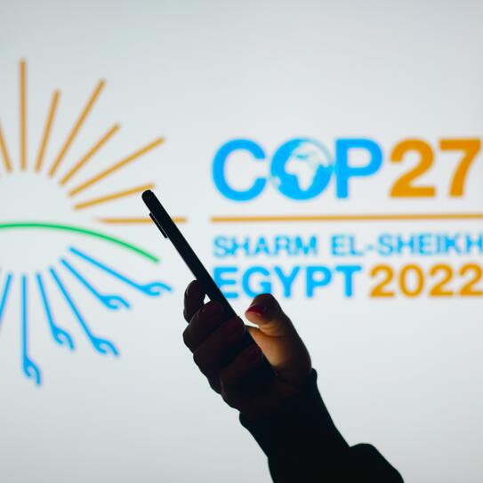 COP 27 Landing Image