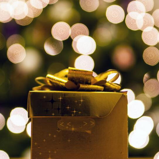 Our 2016 Holiday Gift Guide