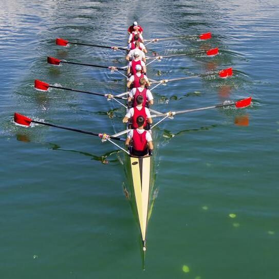 Why Strategy is Everyone’s Job